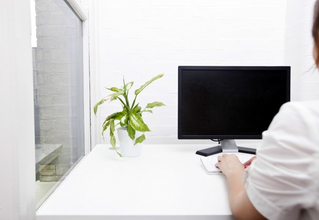 Business Person Working at a Computer in a White Room with a Plant in the Corner Next to a Window