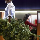 Businessman Carrying Christmas Tree