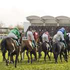 Cheltenham Horse Race